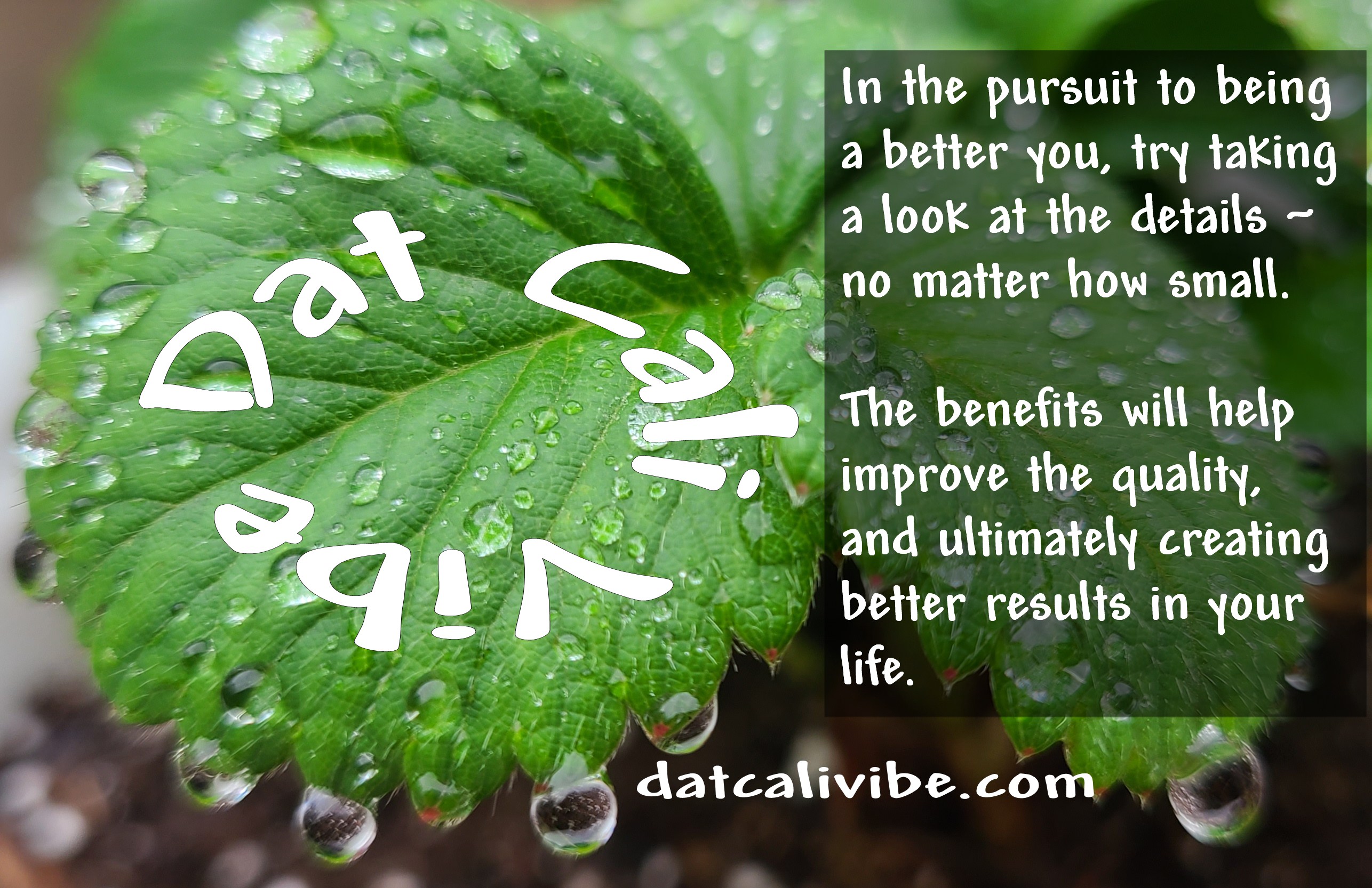 Tuesday's Motivation